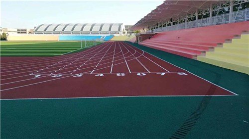 塑膠跑道案例大連外國語學(xué)院
