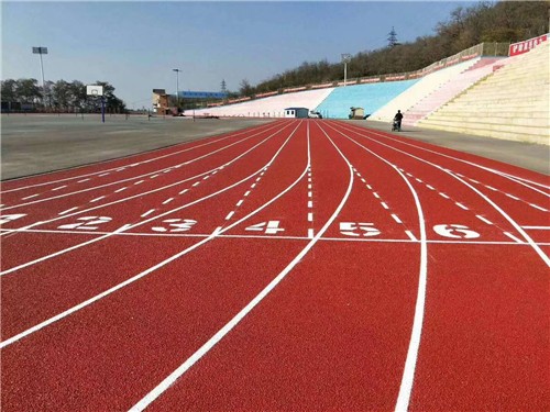 塑膠跑道案例大連外國語學(xué)院
