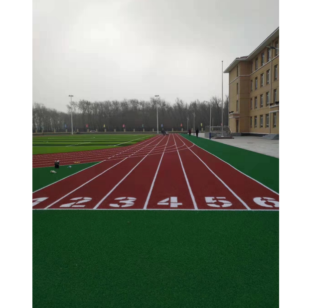 沈陽(yáng)志成中學(xué)藍(lán)色跑道